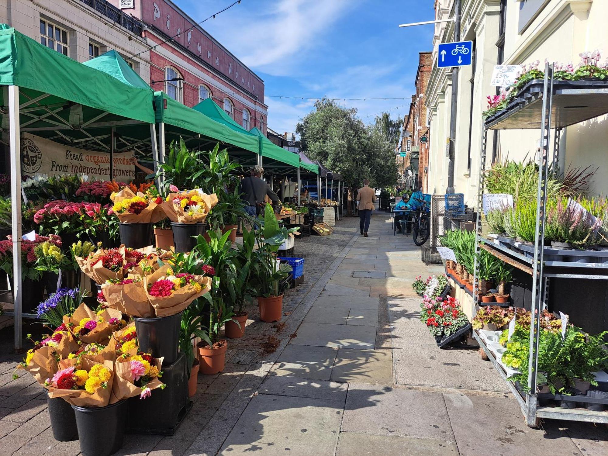 Clapham Serenity Garden Retreat With Free Parking 伦敦 外观 照片